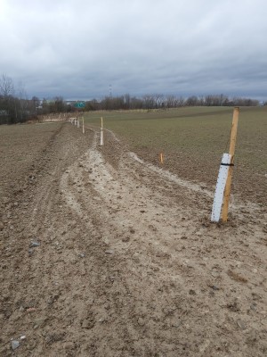 Výsadba krajinné zeleně IV.