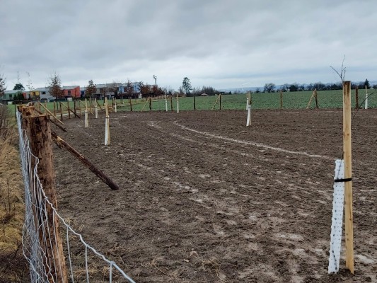 Remízy u Strašína