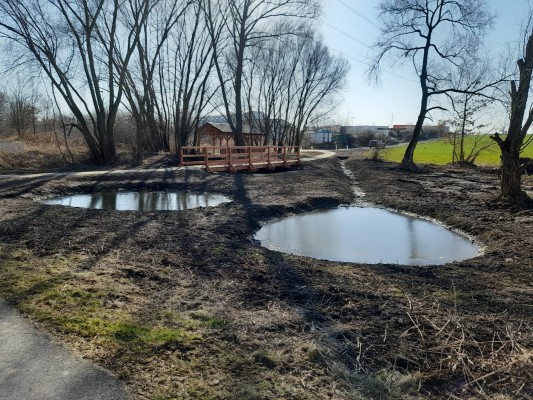 Tůně v lesích i ve městě